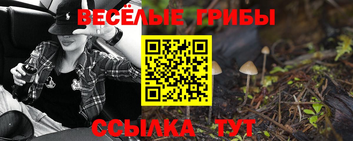 Галлюциногенные грибы GOLDEN TEACHER Набережные Челны