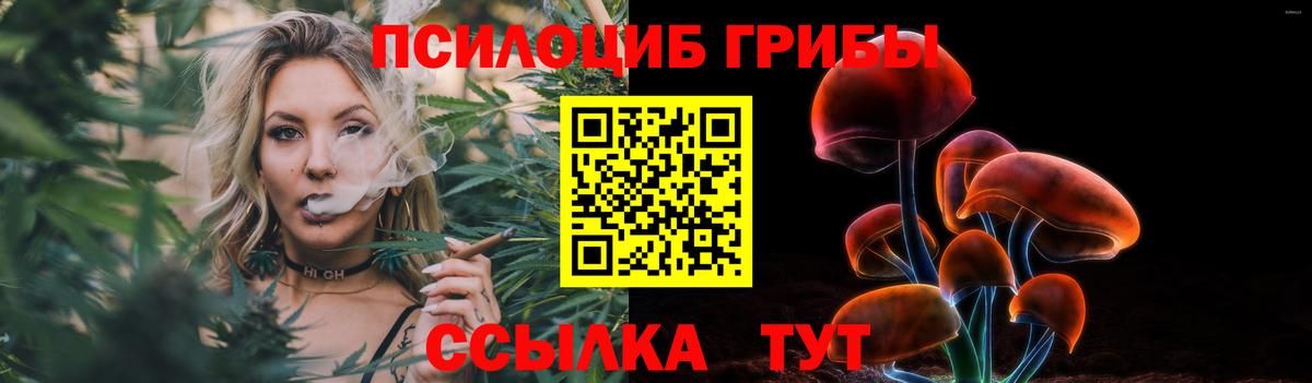 Набережные Челны  Псилоцибиновые грибы Magic Shrooms  Вход с VPN 